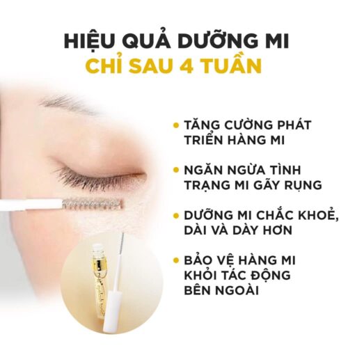 tinh-chat-duong-mi-dhc-4