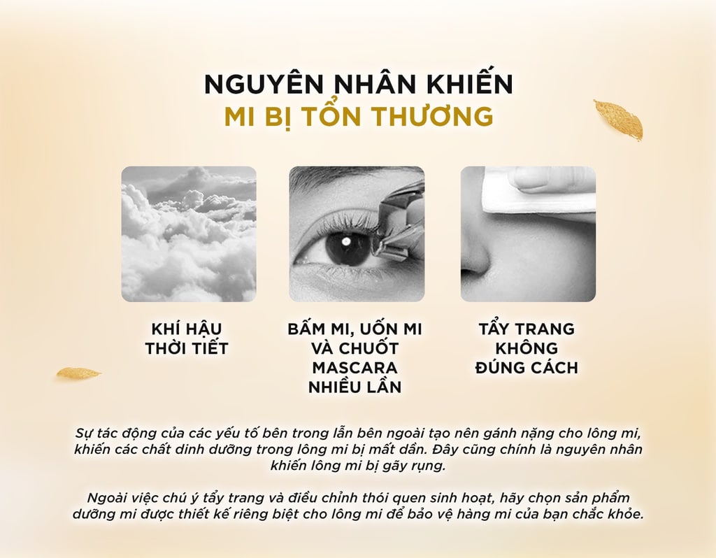 tinh-chat-duong-mi-dhc-9
